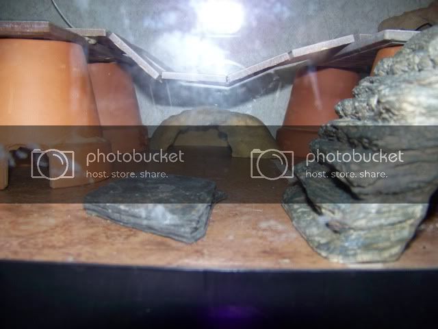 100_2518.jpg