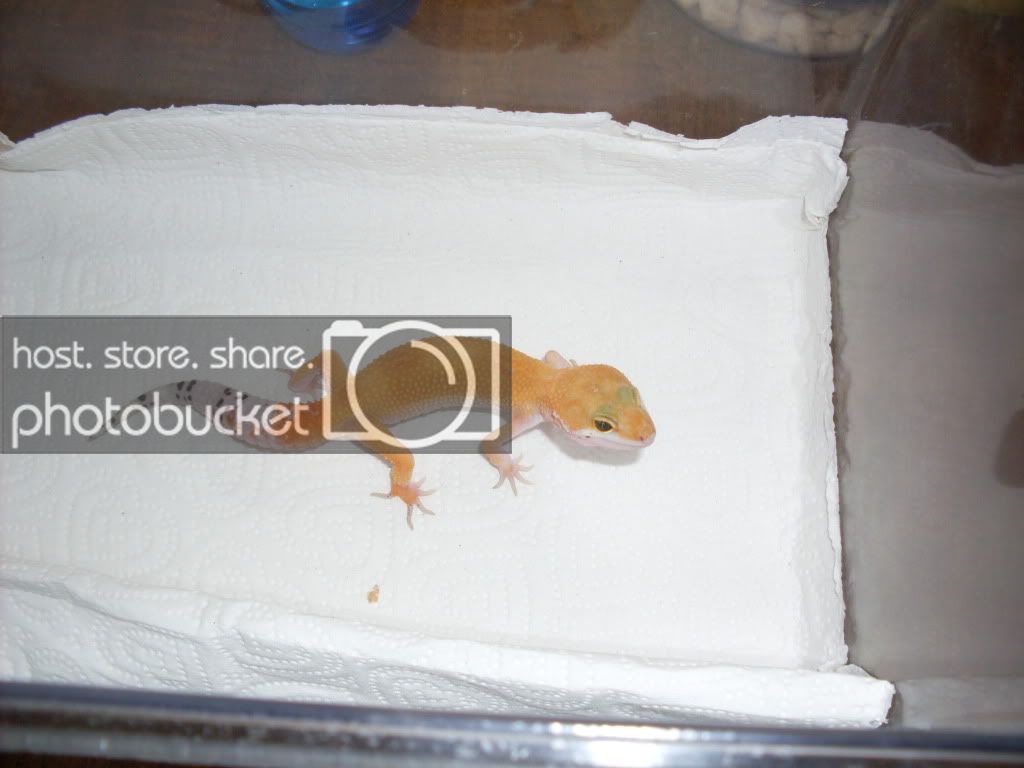 SDC10729.jpg