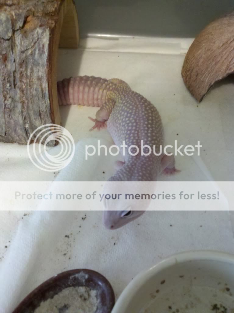 2011-05-18_17-53-01_358.jpg