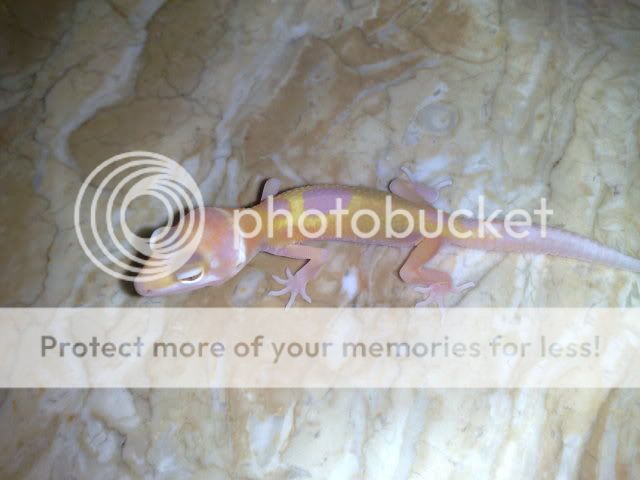 04212009285.jpg