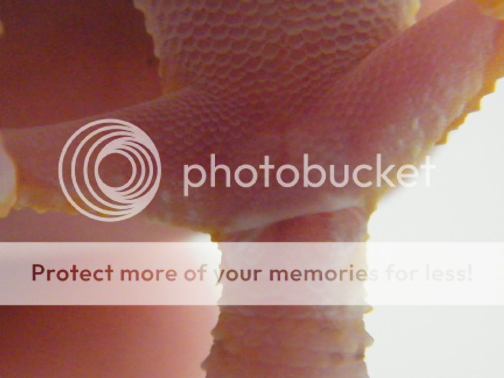 DSCF1857.jpg