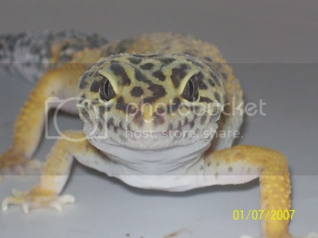 morepics007.jpg