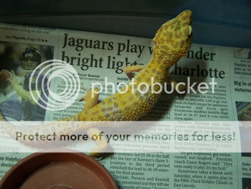 100_5576.jpg