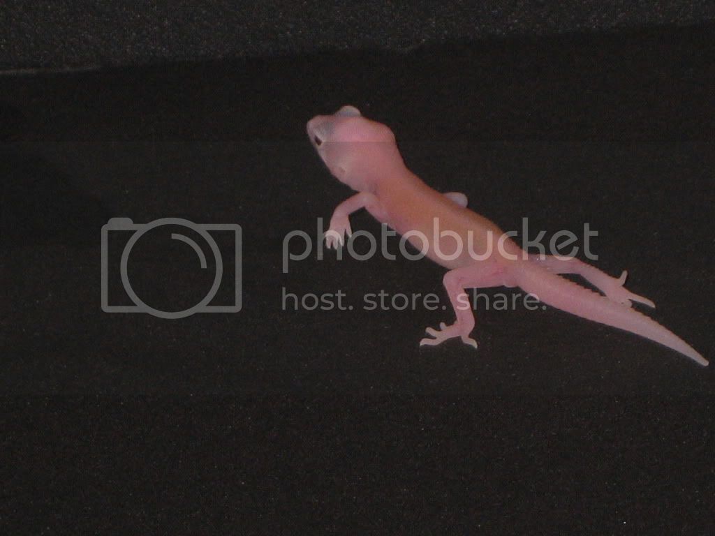 IMG_0345.jpg