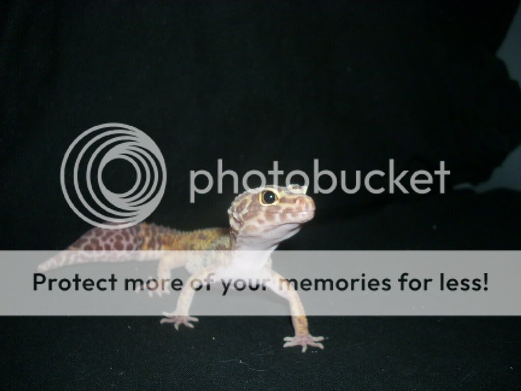 DSCN0490.jpg