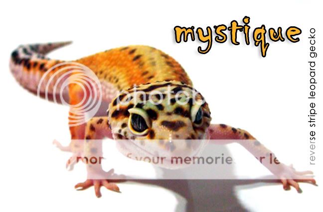 mystique043009-1.jpg