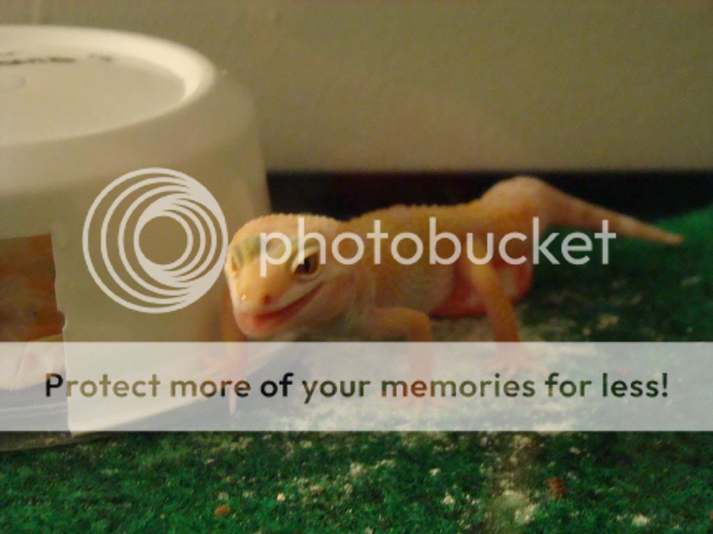 Picture226.jpg