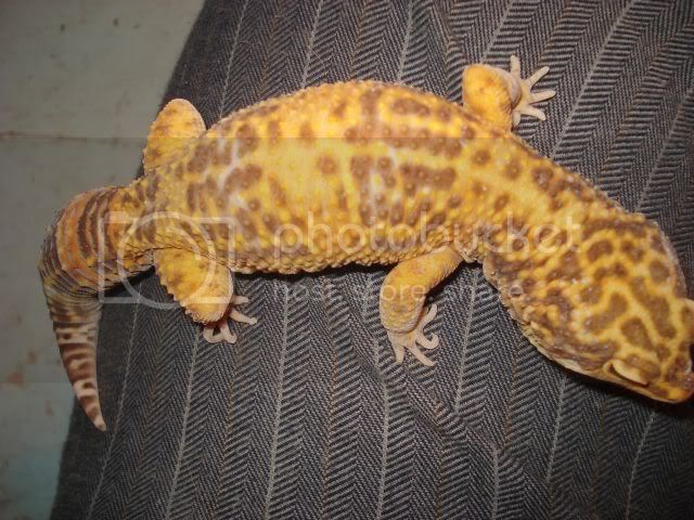 male2.jpg