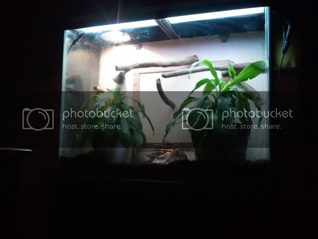 2011-09-06204542.jpg