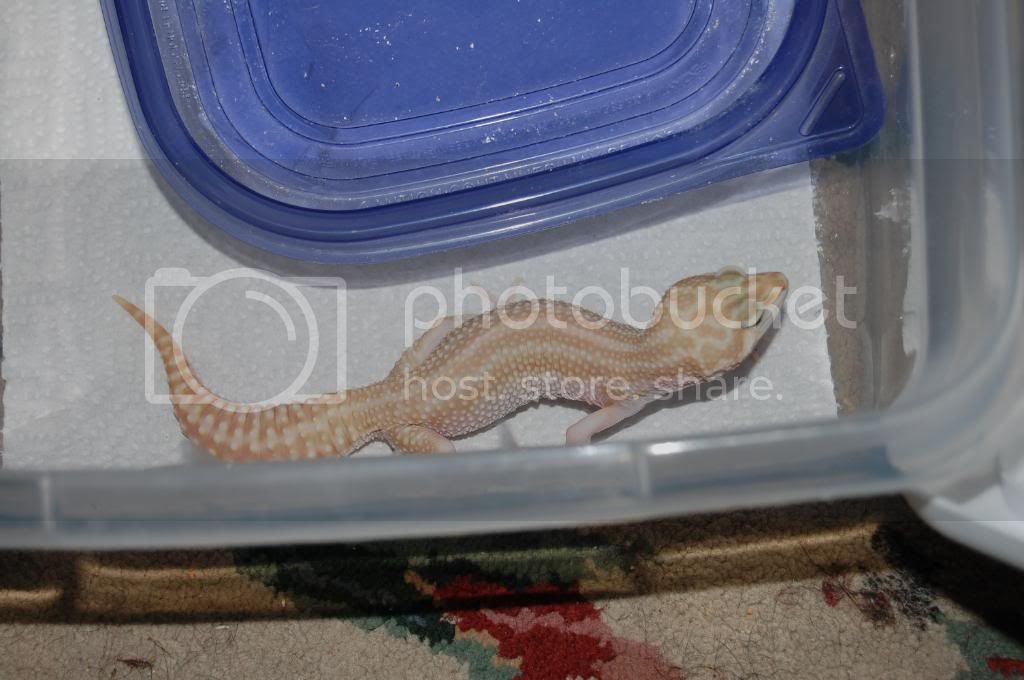 DSC_0101.jpg
