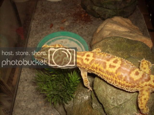 DSCN3606.jpg
