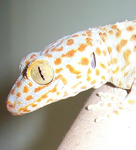 008_zps6fe6f551.jpg