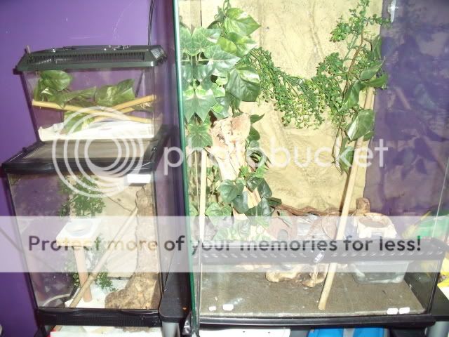 garg_enclosures2.jpg