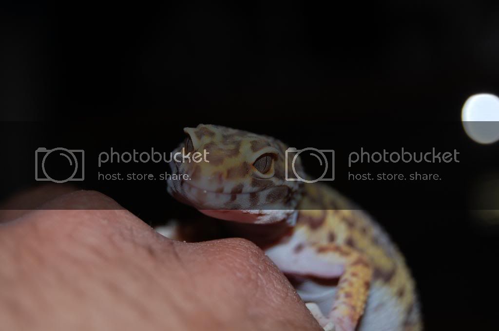 DSC_0089.jpg