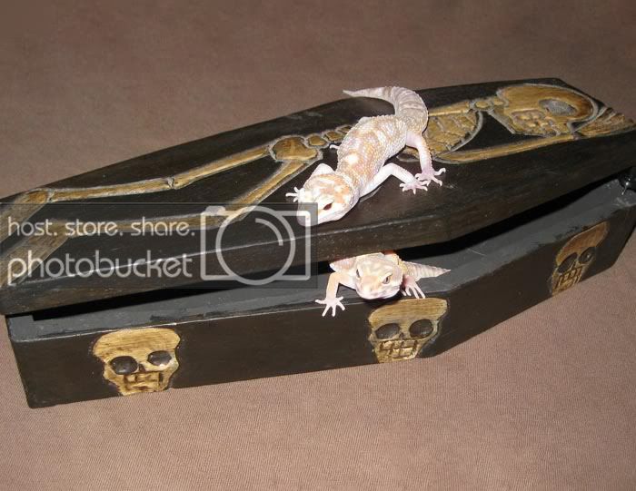 fallen_angelOct.jpg