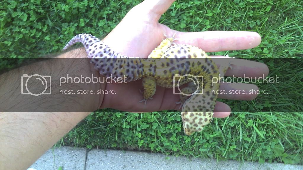 2012-08-19_19-42-08_683.jpg