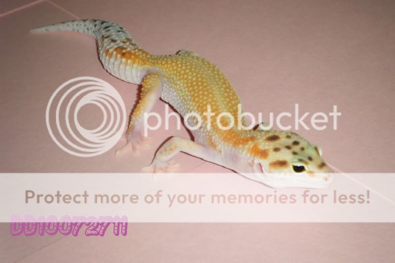 DSCF1499.jpg