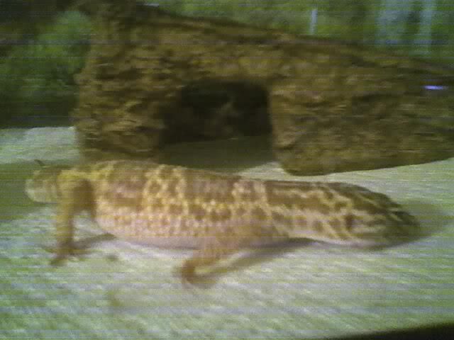 07-17-07_0032.jpg