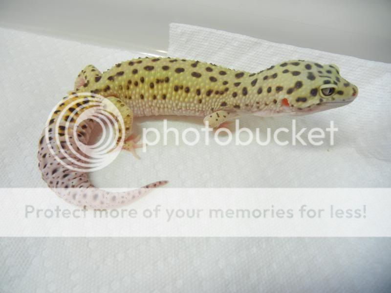 DSCN2405.jpg