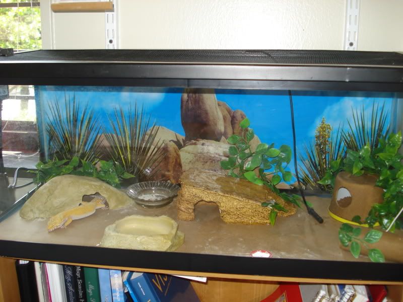 Picture209.jpg