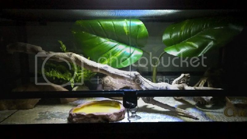 cheetara%20enclosure.jpg