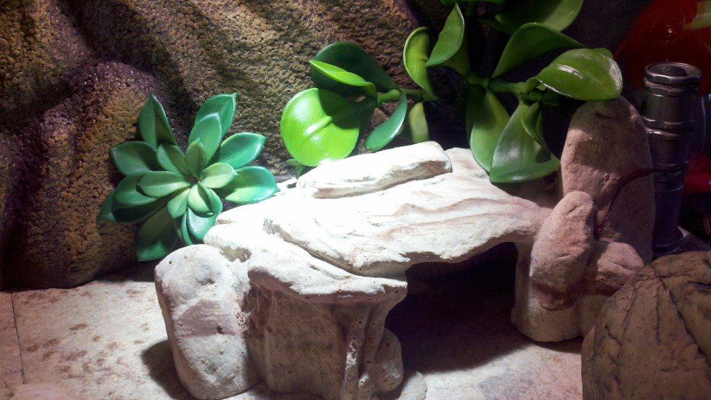 2012-11-25_08-58-05_962.jpg