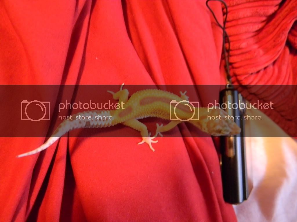 DSCN0816.jpg