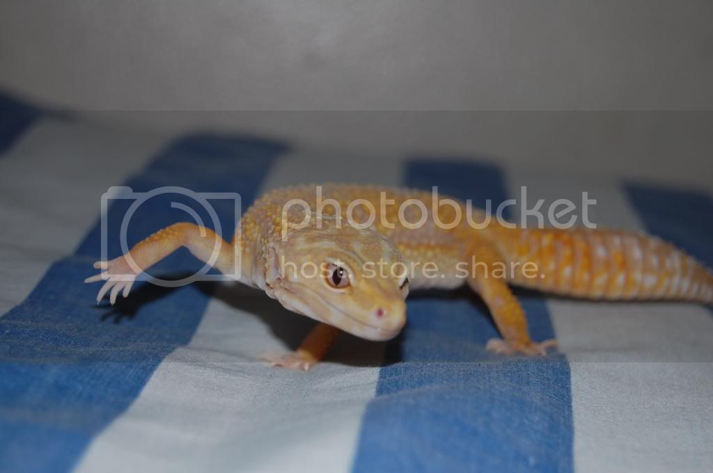 DSC_0057.jpg