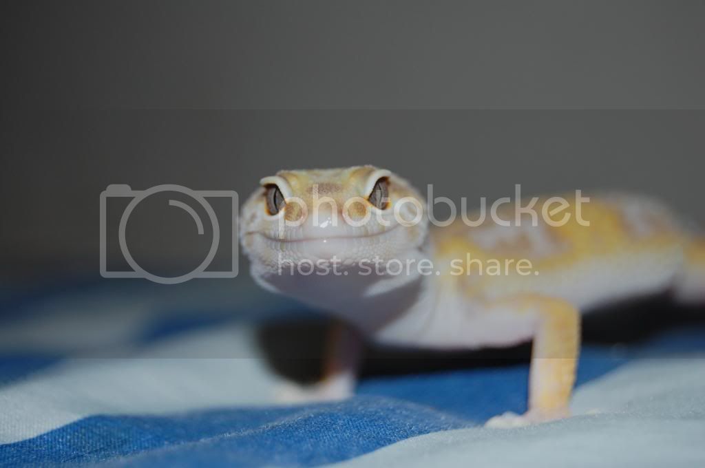 DSC_0063.jpg