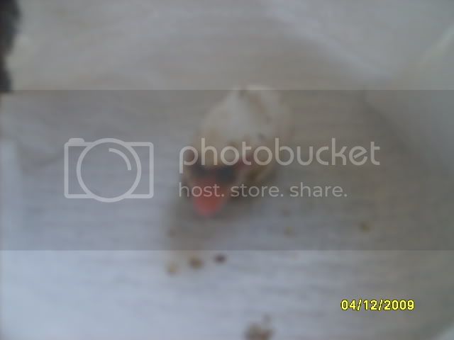 Picture257.jpg