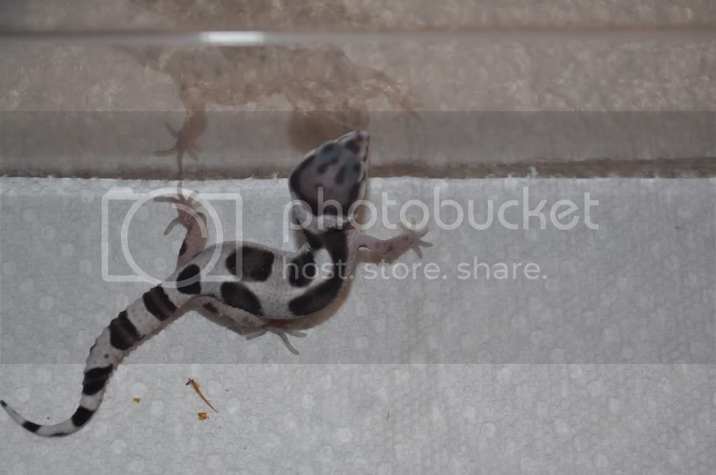 DSC_0121.jpg