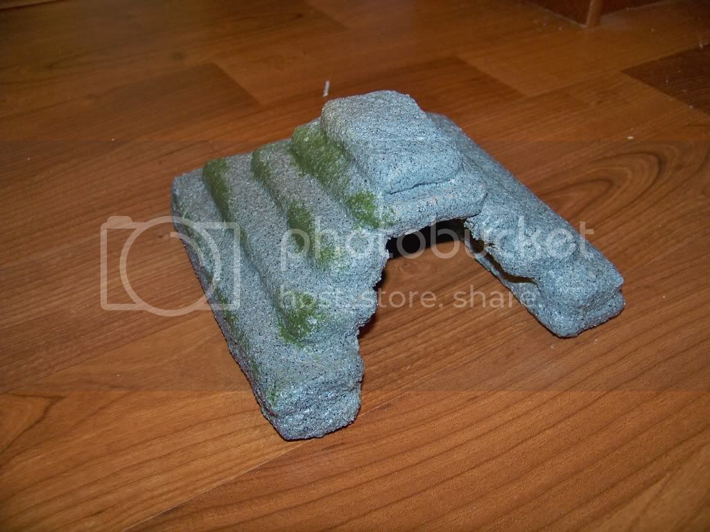 100_4538.jpg