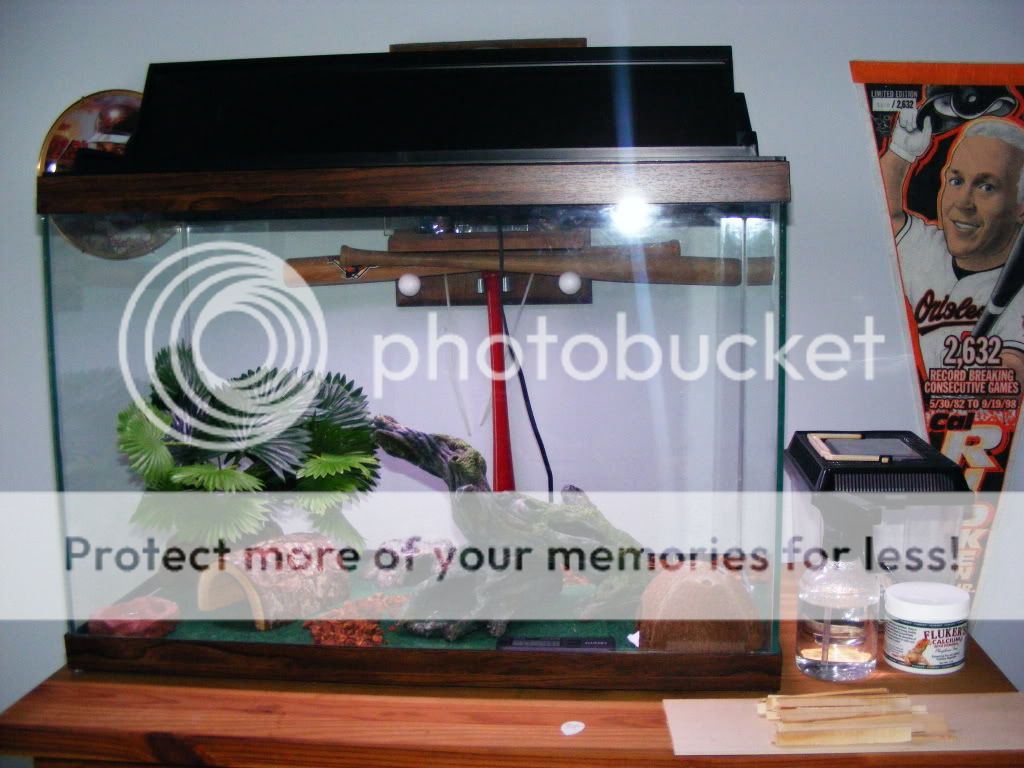 DSCF3181.jpg