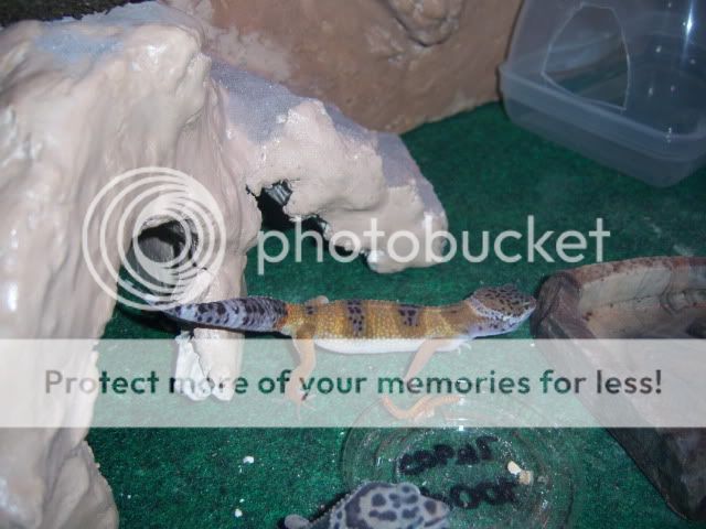 100_1439.jpg