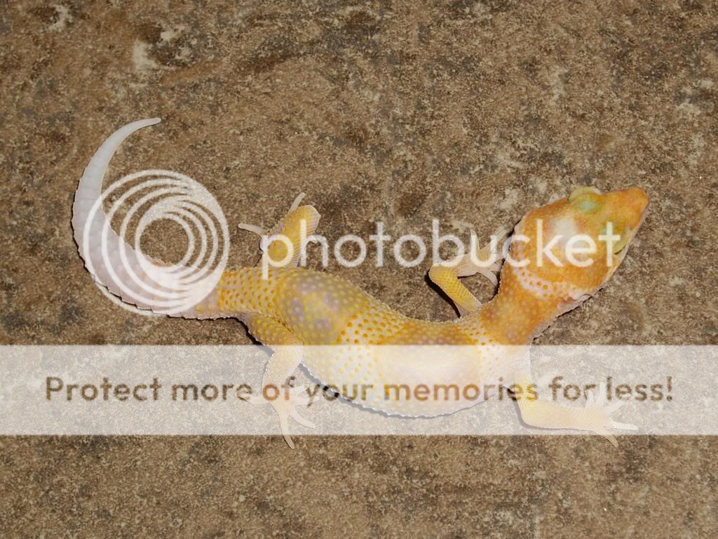 IMGP5882.jpg