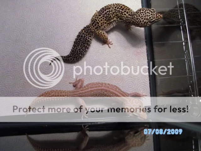 015-2.jpg