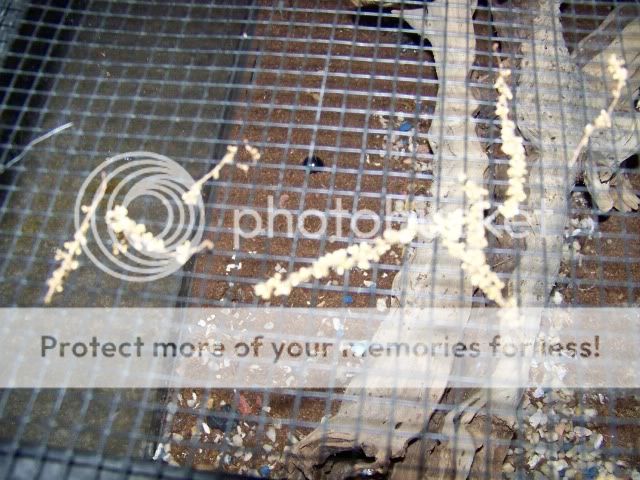 100_2493.jpg
