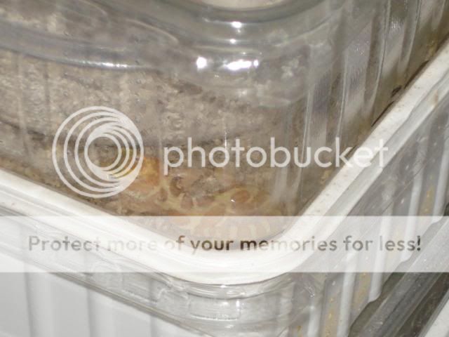 nakweek200925-04042.jpg