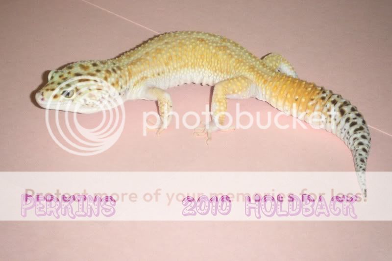 DSCF1597.jpg