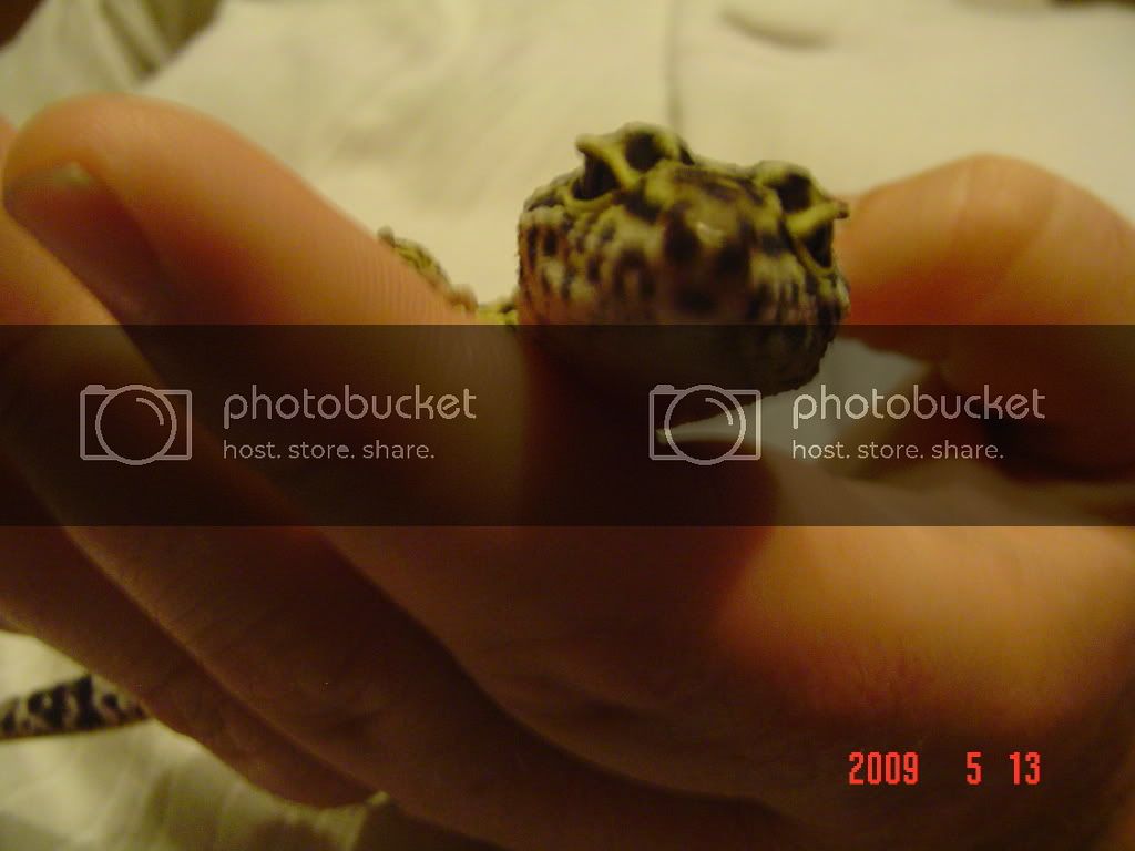 DSC01806.jpg