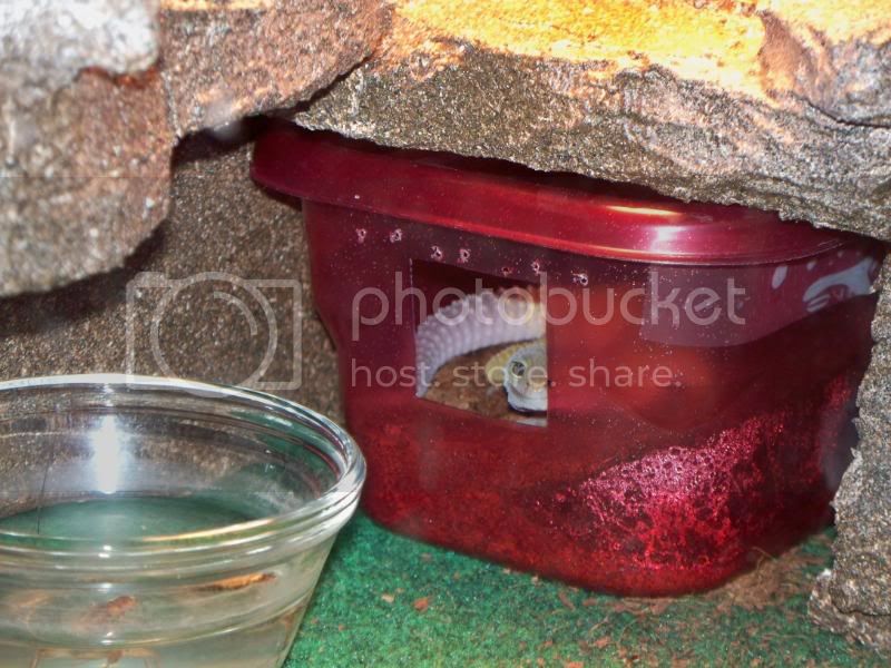 100_0010.jpg