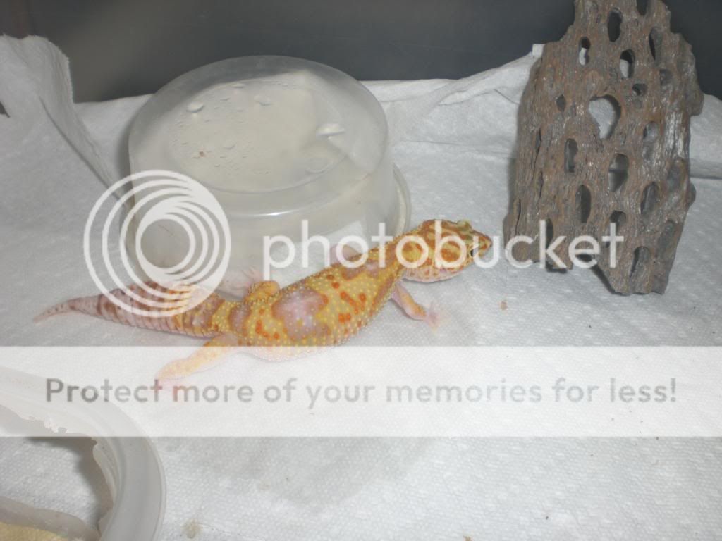 junepix047.jpg