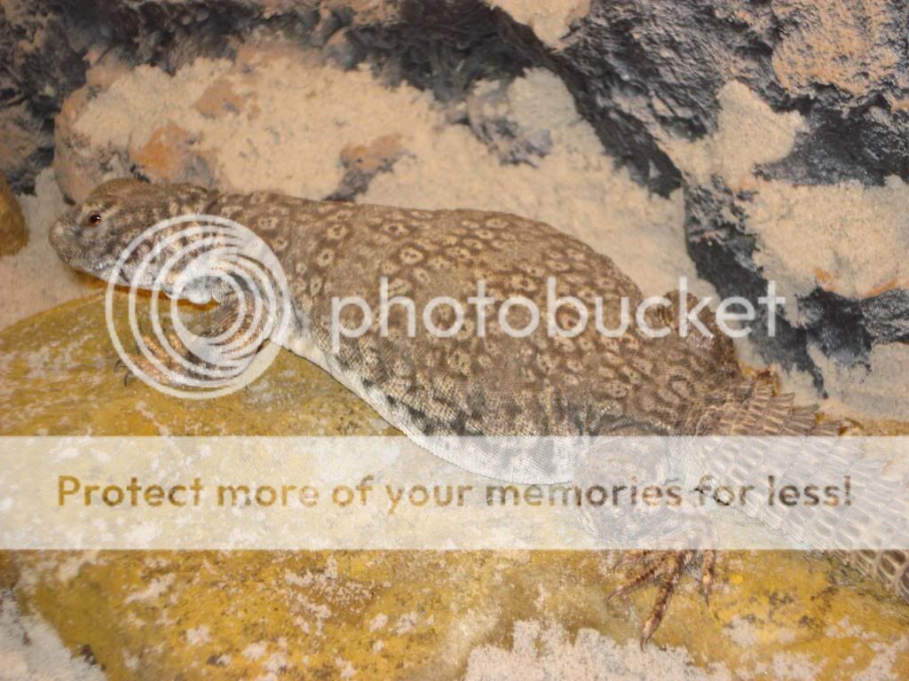 nieuwefoto-bak086.jpg