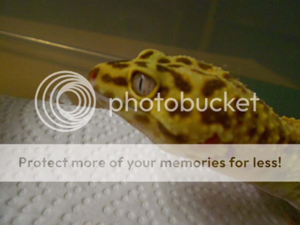 DSCN3854.jpg