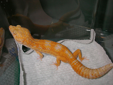 575633854_iPpoK-S.jpg
