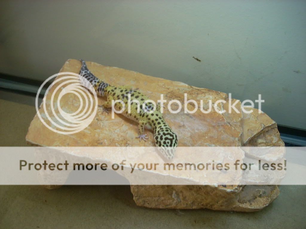DSCN0051.jpg