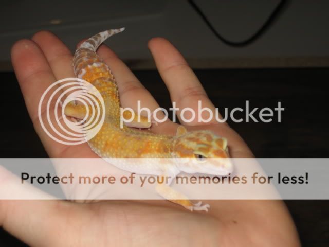 april009.jpg