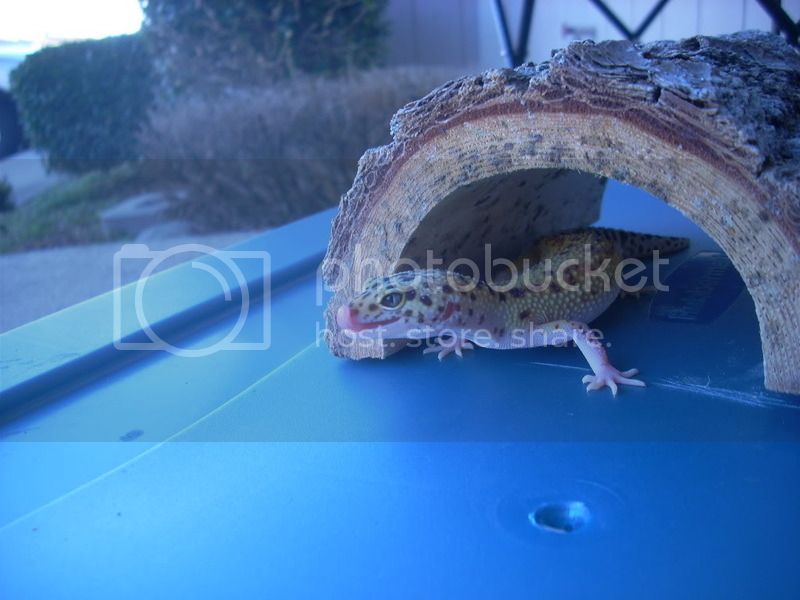 DSCN0238.jpg