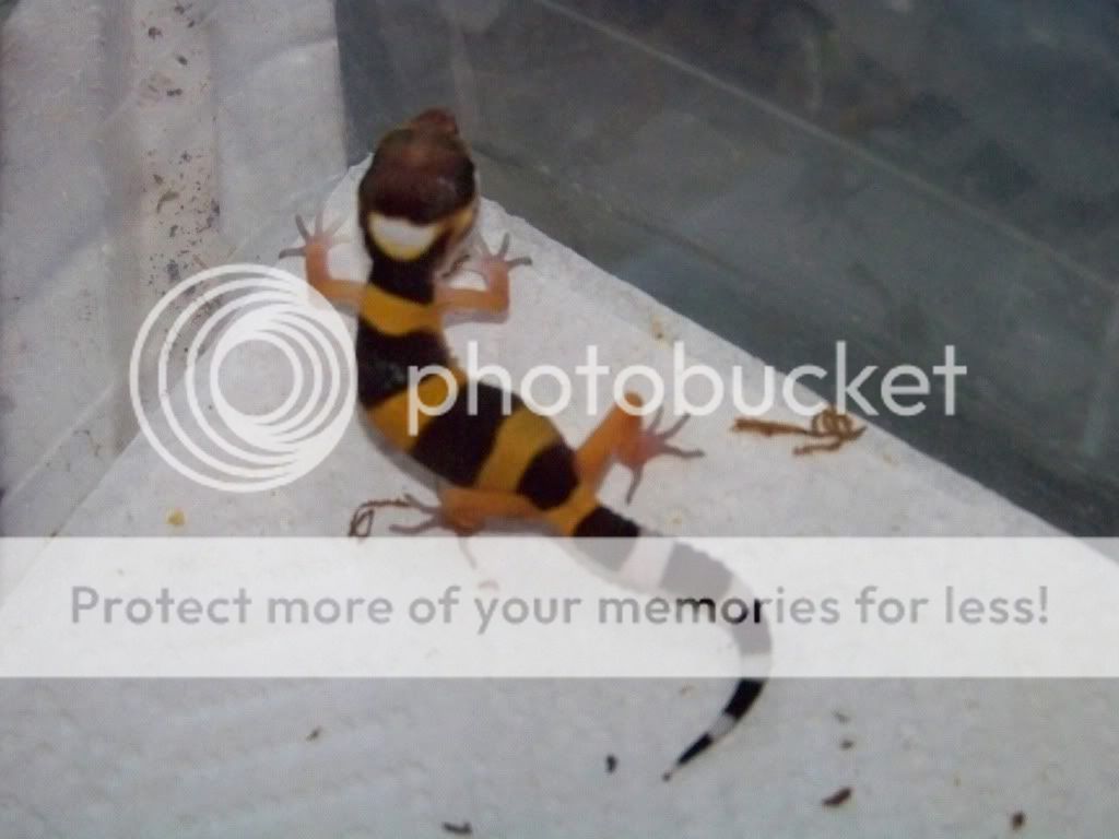 100_7412.jpg