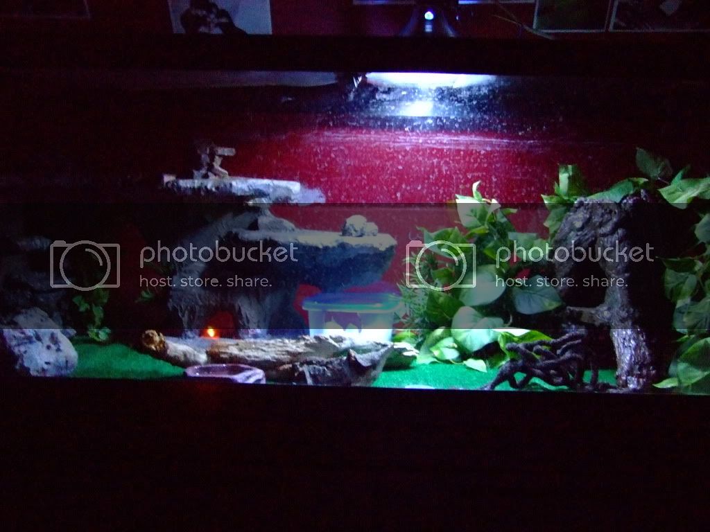NewTank053.jpg